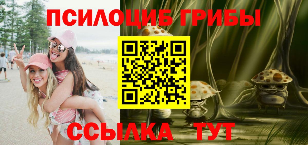 Псилоцибиновые грибы прущие грибы Лысьва
